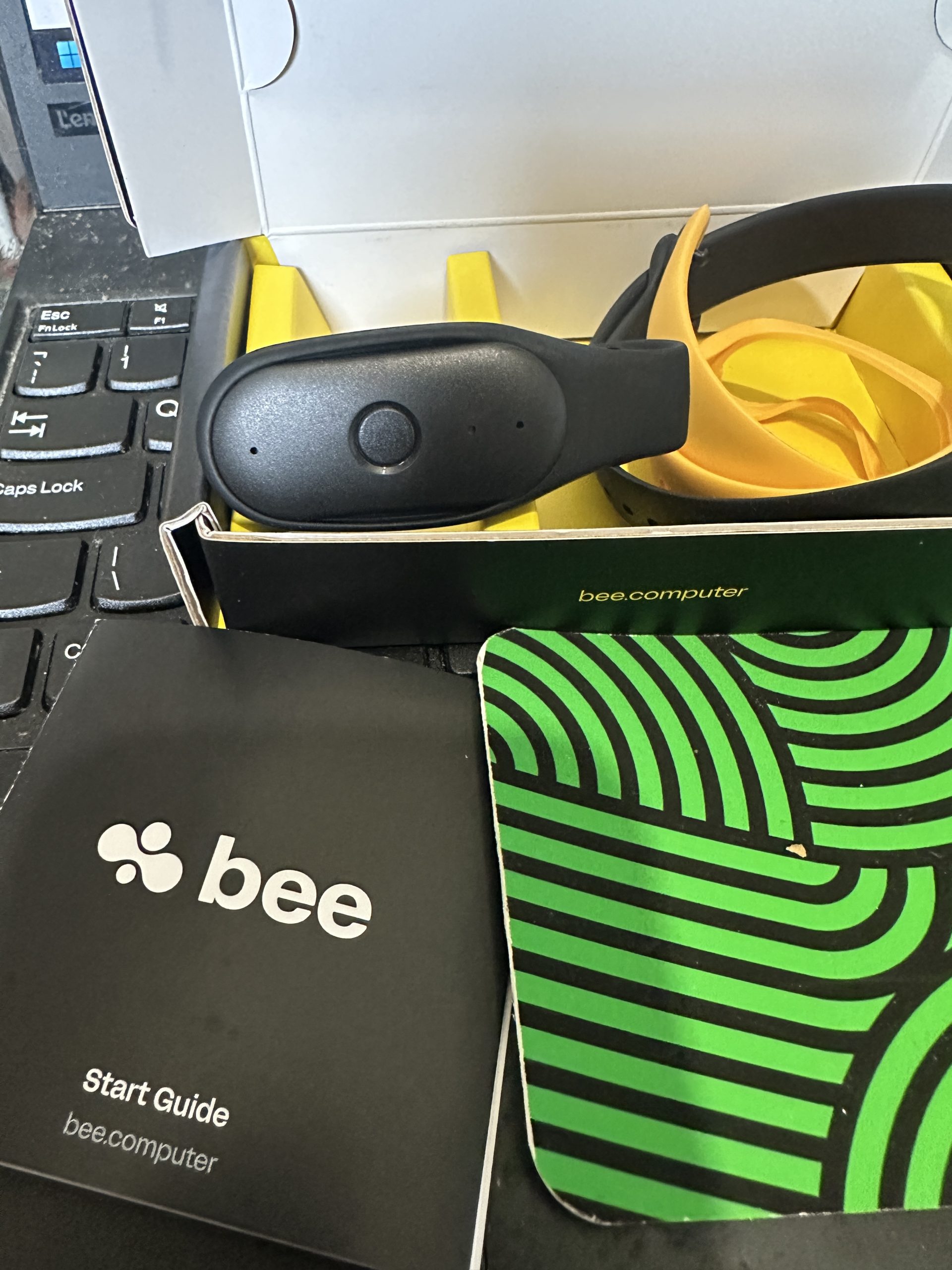 Bee Pioneer – WARREN ELLIS LTD